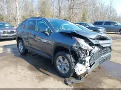 2T3P1RFV0SW603113 2025 TOYOTA RAV 4