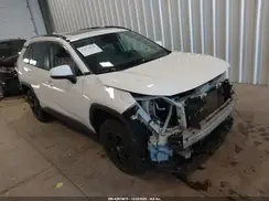 2T3P1RFV1KC002682 2019 TOYOTA RAV 4
