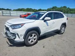2T3P1RFV1KC003959 2019 TOYOTA RAV 4