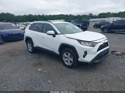 2T3P1RFV1KW030366 2019 TOYOTA RAV 4