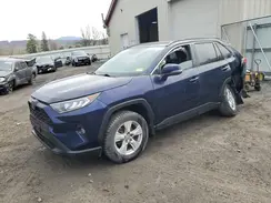 2T3P1RFV1KW057972 2019 TOYOTA RAV 4