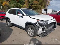 2T3P1RFV1MC204229 2021 TOYOTA RAV 4