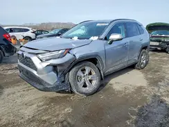2T3P1RFV1PC340252 2023 TOYOTA RAV 4