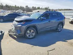 2T3P1RFV1PC345953 2023 TOYOTA RAV 4