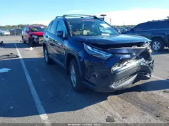 2T3P1RFV1PW334224 2023 TOYOTA RAV 4