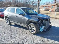 2T3P1RFV1PW340315 2023 TOYOTA RAV 4