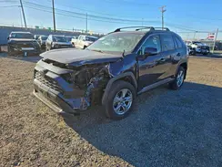 2T3P1RFV1PW363786 2023 TOYOTA RAV 4