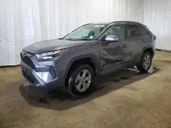 2T3P1RFV1PW365117 2023 TOYOTA RAV 4