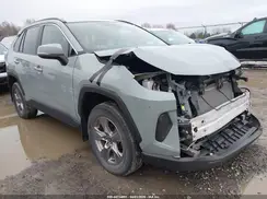 2T3P1RFV1PW402442 2023 TOYOTA RAV 4