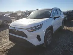 2T3P1RFV1RC410982 2024 TOYOTA RAV 4