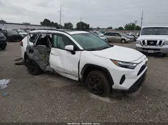 2T3P1RFV1RC443531 2024 TOYOTA RAV 4