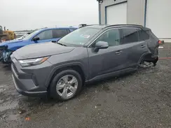 2T3P1RFV1RC443626 2024 TOYOTA RAV 4