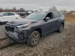 2T3P1RFV1RC448390 2024 TOYOTA RAV 4