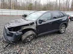 2T3P1RFV1RC450012 2024 TOYOTA RAV 4