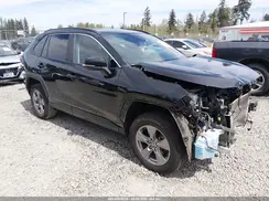 2T3P1RFV1RC456988 2024 TOYOTA RAV 4
