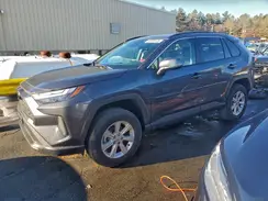 2T3P1RFV1RC463388 2024 TOYOTA RAV 4