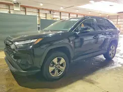 2T3P1RFV1RC466663 2024 TOYOTA RAV 4