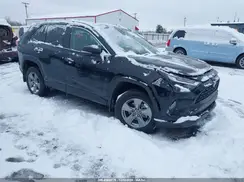 2T3P1RFV1RC478215 2024 TOYOTA RAV 4