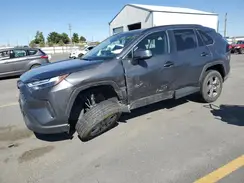 2T3P1RFV1RC489005 2024 TOYOTA RAV 4