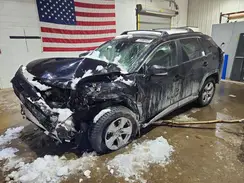 2T3P1RFV1RC489537 2024 TOYOTA RAV 4