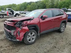 2T3P1RFV1RW422211 2024 TOYOTA RAV 4