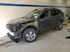 2T3P1RFV1RW457976 2024 TOYOTA RAV 4