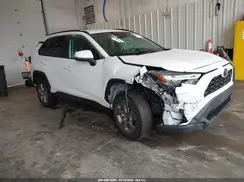2T3P1RFV1SC502339 2025 TOYOTA RAV 4