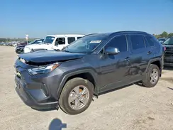2T3P1RFV1SC504754 2025 TOYOTA RAV 4