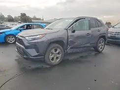 2T3P1RFV1SC508478 2025 TOYOTA RAV 4