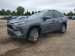 2T3P1RFV1SC509856 2025 TOYOTA RAV 4
