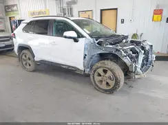 2T3P1RFV1SC513728 2025 TOYOTA RAV 4