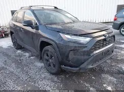 2T3P1RFV1SC563514 2025 TOYOTA RAV 4