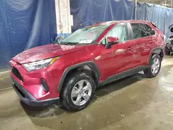2T3P1RFV1SW503537 2025 TOYOTA RAV 4