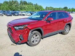 2T3P1RFV1SW591229 2025 TOYOTA RAV 4