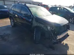 2T3P1RFV2KC024559 2019 TOYOTA RAV 4