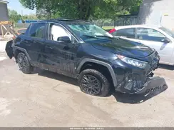 2T3P1RFV2KC051891 2019 TOYOTA RAV 4