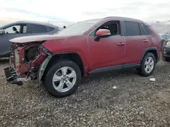 2T3P1RFV2KW005265 2019 TOYOTA RAV 4