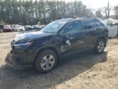 2T3P1RFV2PC373437 2023 TOYOTA RAV 4