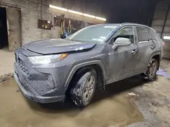 2T3P1RFV2PW330134 2023 TOYOTA RAV 4