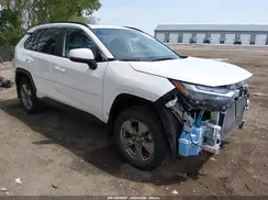 2T3P1RFV2RC410988 2024 TOYOTA RAV 4