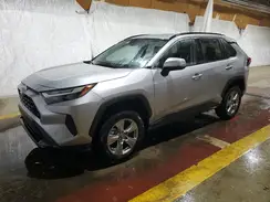 2T3P1RFV2RC448219 2024 TOYOTA RAV 4