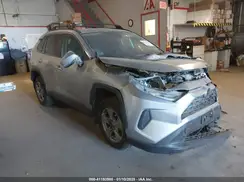 2T3P1RFV2RC459446 2024 TOYOTA RAV 4