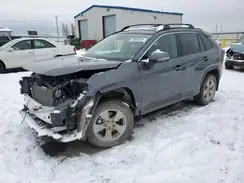 2T3P1RFV2RC464369 2024 TOYOTA RAV 4