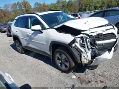 2T3P1RFV2RC487554 2024 TOYOTA RAV 4