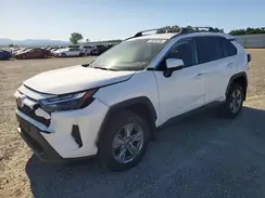 2T3P1RFV2RW418765 2024 TOYOTA RAV 4