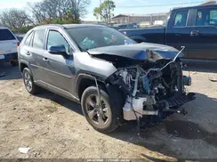 2T3P1RFV2SC541036 2025 TOYOTA RAV 4