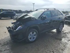 2T3P1RFV2SC556670 2025 TOYOTA RAV 4