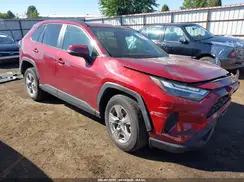 2T3P1RFV2SW500310 2025 TOYOTA RAV 4