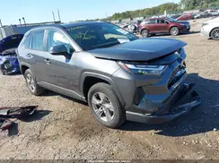 2T3P1RFV2SW546557 2025 TOYOTA RAV 4