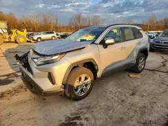 2T3P1RFV2SW601024 2025 TOYOTA RAV 4